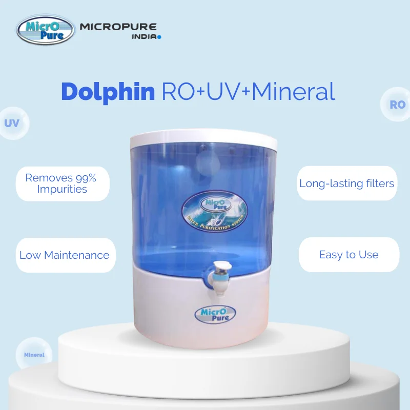 Dolphine Model